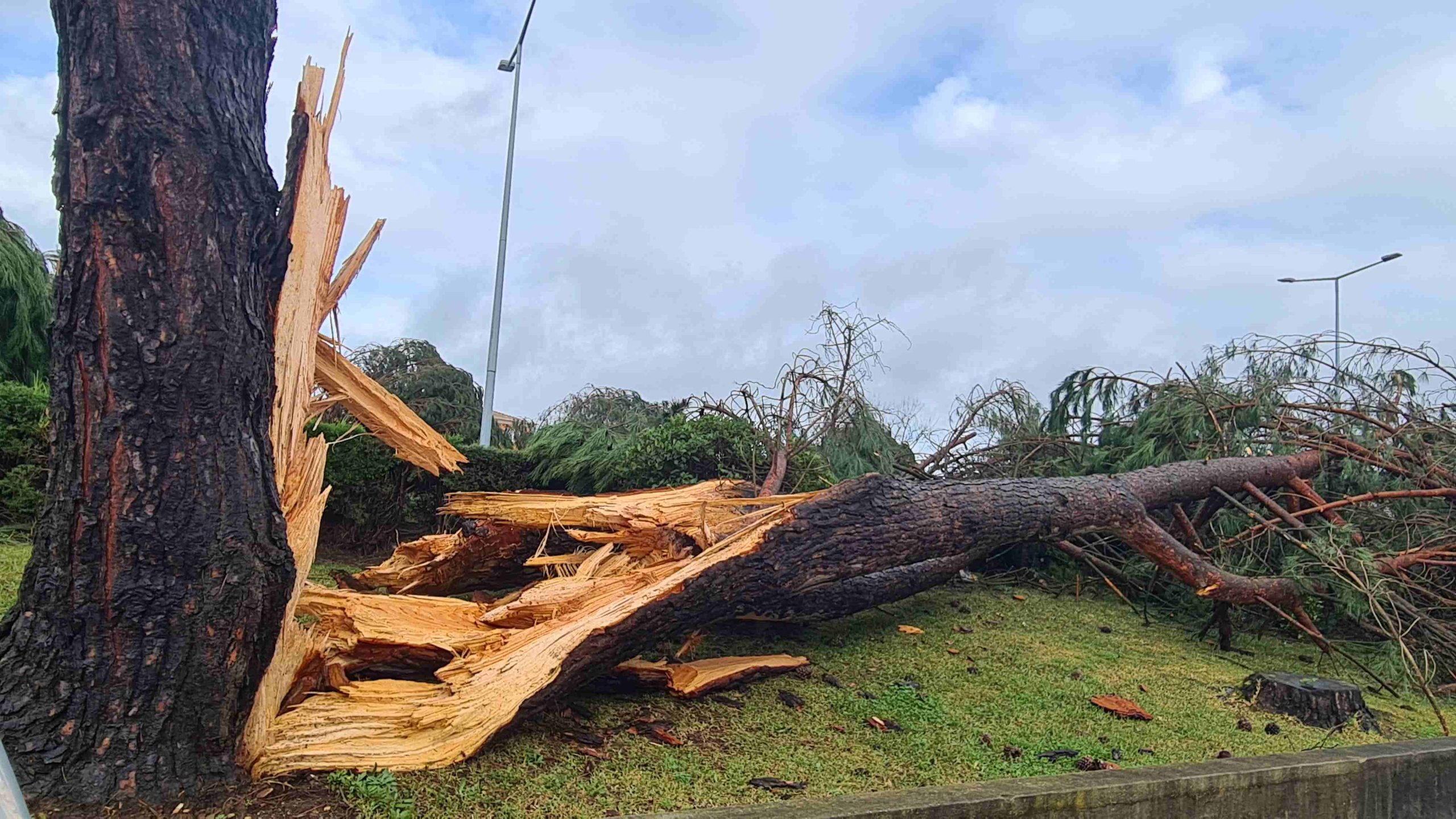 Kristin, Leonardo, Marta: Keine gute Zeit, um mit dem Trinken aufzuhören! Dem Generator sei Dank, wir haben es überlebt