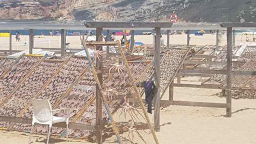 20190804 Nazaré (2)