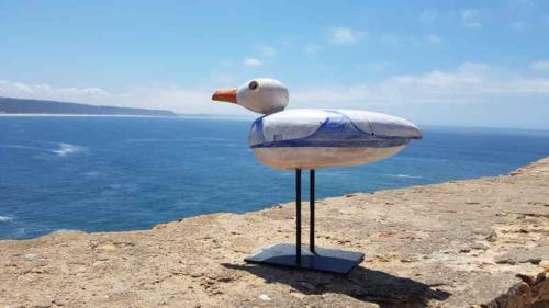 20190804 Nazaré (25)