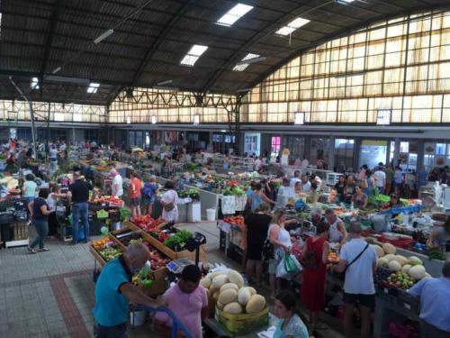 20190812 Nazaré (1)